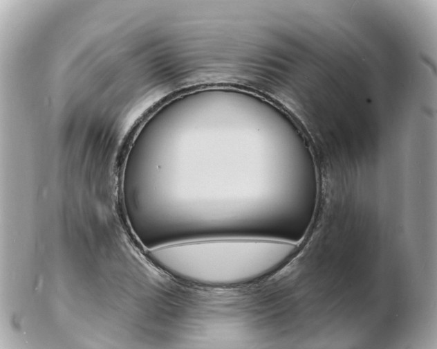 X0000103301119200808291124