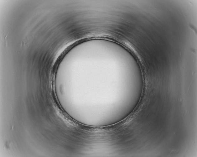 X0000103301124200808291124