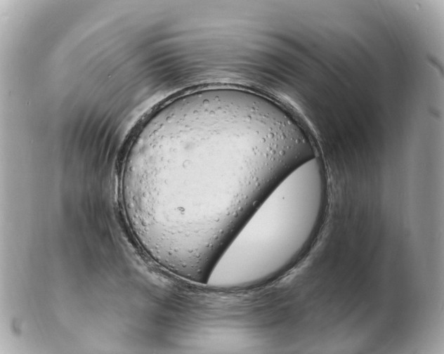 X0000103301125200808291124