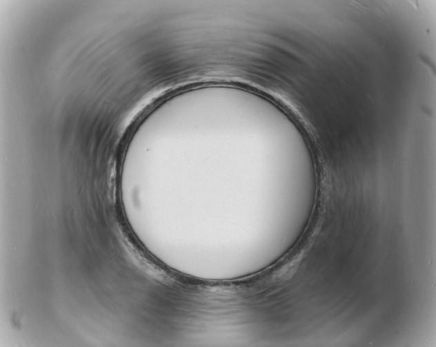 X0000103301126200808291124