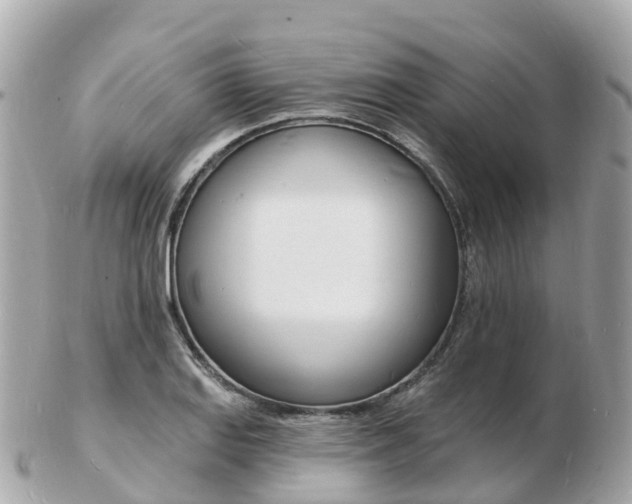 X0000103301127200808291124