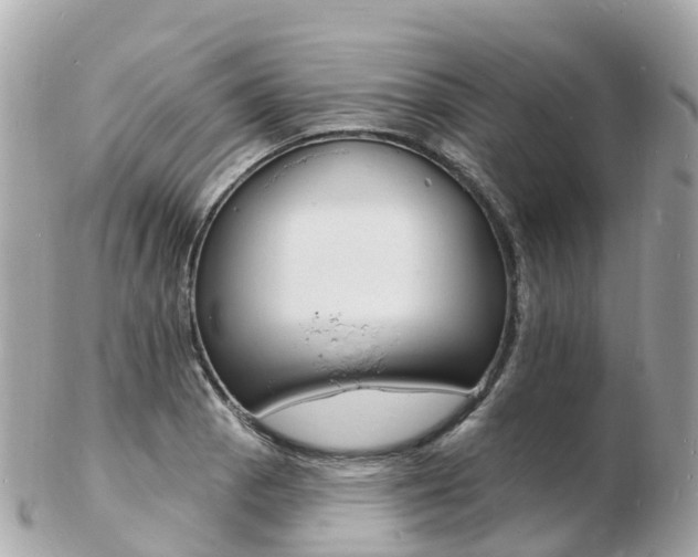 X0000103301129200808291124