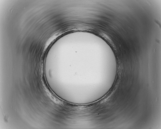 X0000103301130200808291124