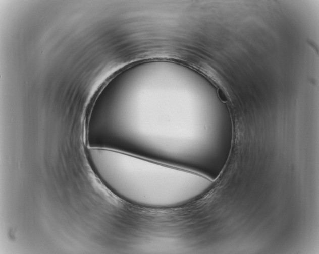 X0000103301132200808291124