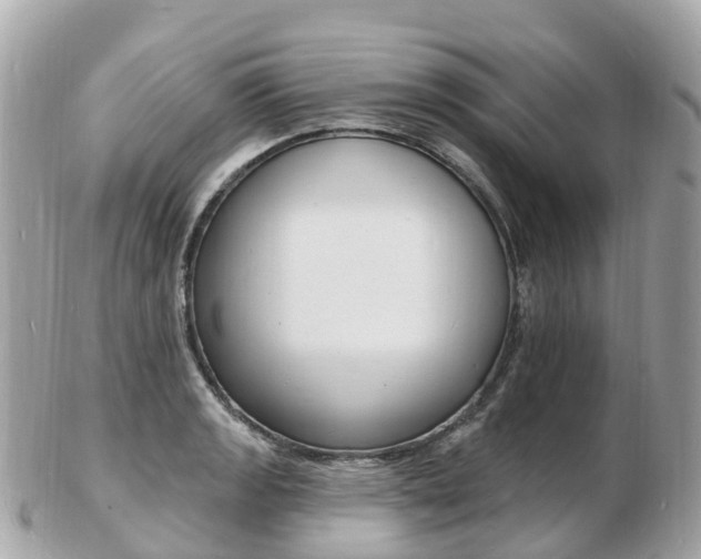 X0000103301133200808291124