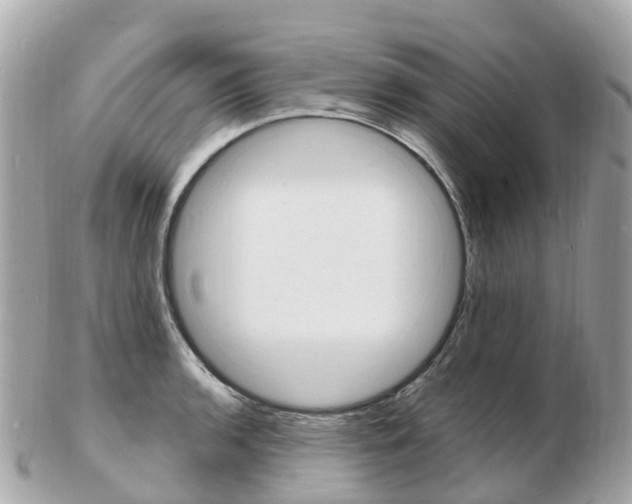 X0000103301136200808291124