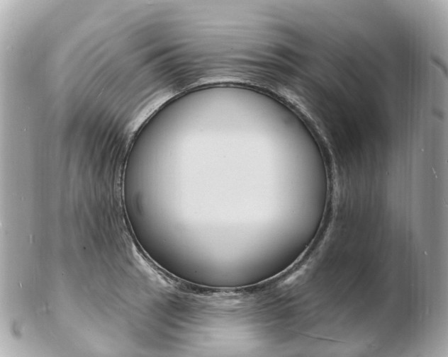X0000103301137200808291124