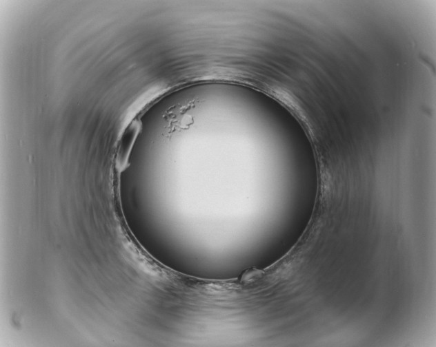 X0000103301138200808291124