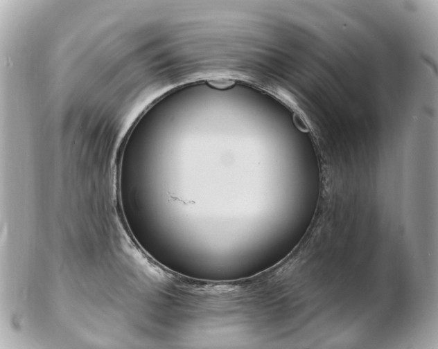 X0000103301140200808291124
