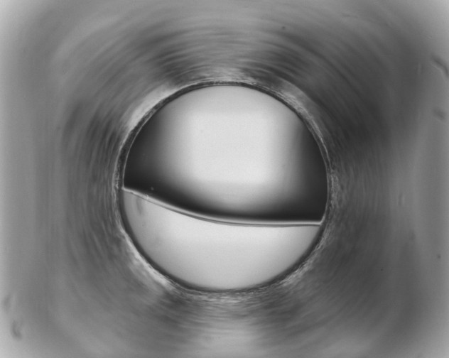 X0000103301141200808291124