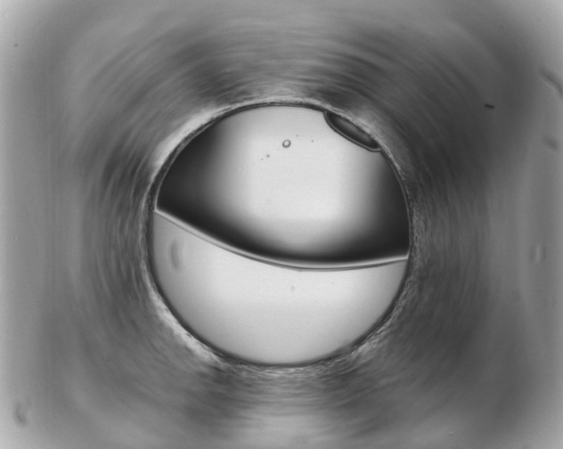 X0000103301142200808291124