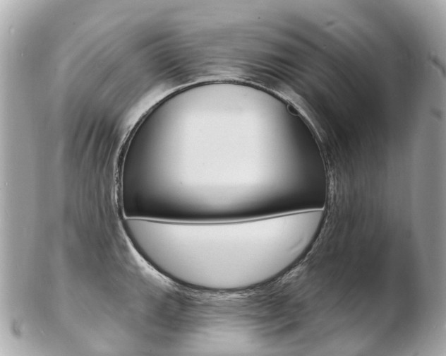 X0000103301143200808291124