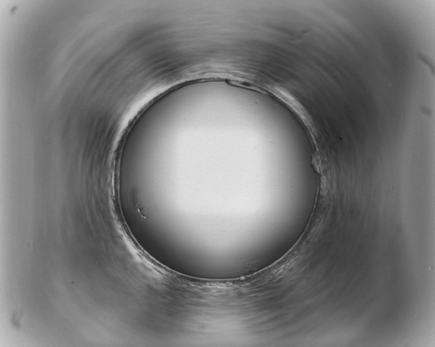 X0000103301144200808291124