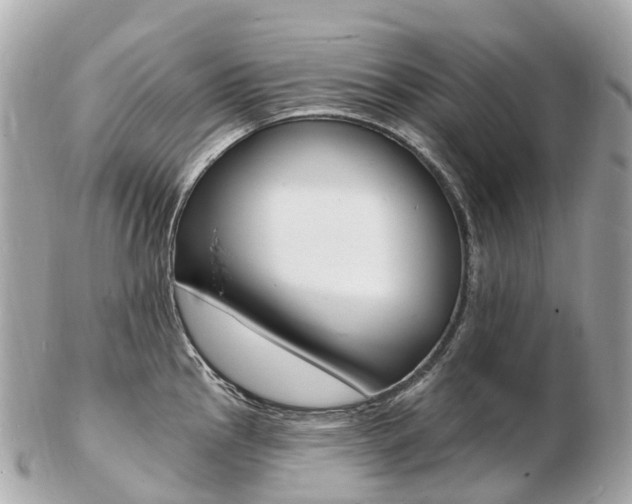 X0000103301145200808291124
