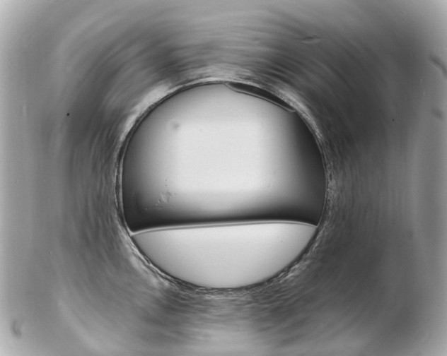 X0000103301146200808291124
