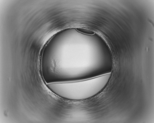 X0000103301147200808291124