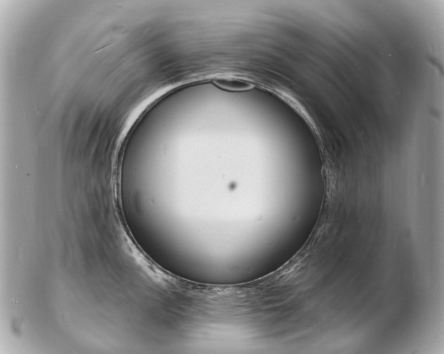 X0000103301148200808291124