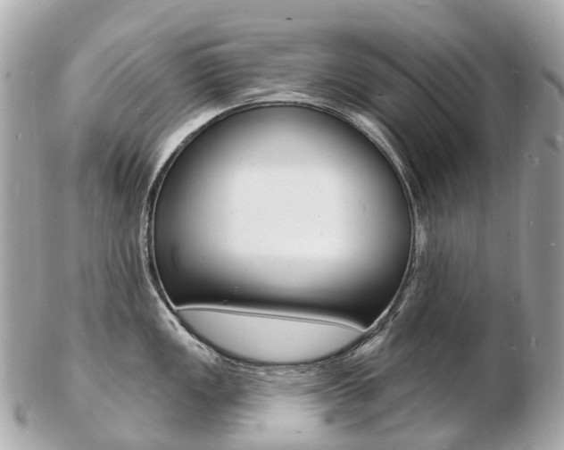 X0000103301149200808291124