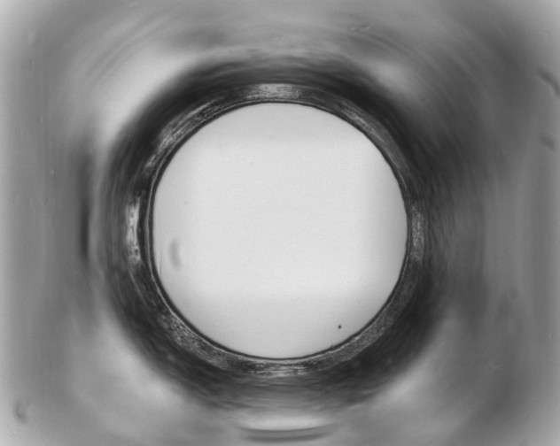 X0000103301150200808291124