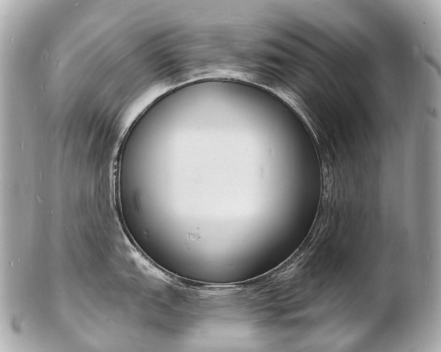X0000103301151200808291124