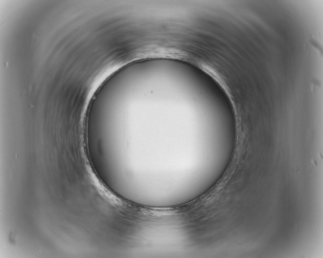 X0000103301152200808291125