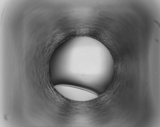 X0000103301153200808291124