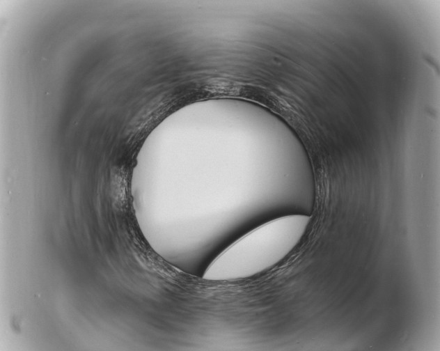 X0000103301154200808291124