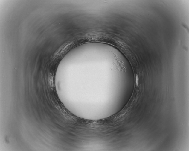 X0000103301155200808291124