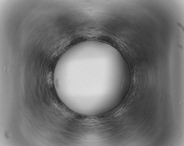 X0000103301156200808291124