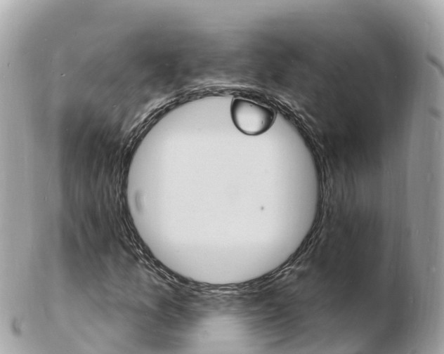 X0000103301157200808291124