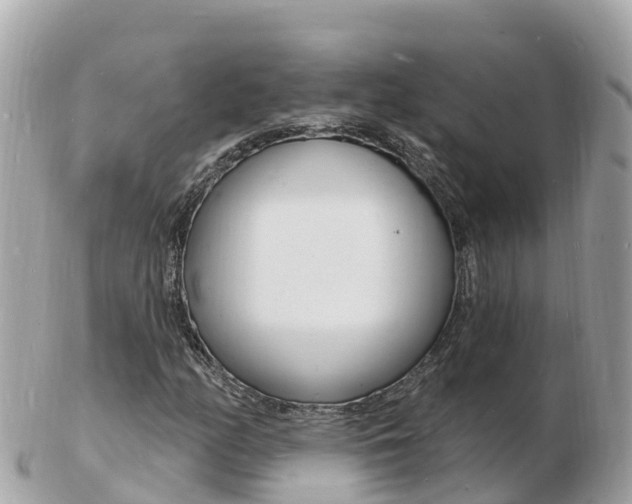 X0000103301158200808291124