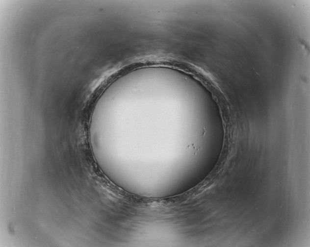 X0000103301160200808291124
