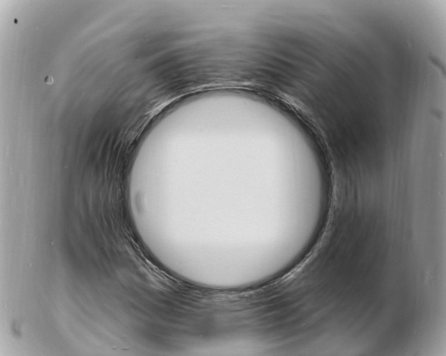 X0000103301161200808291124