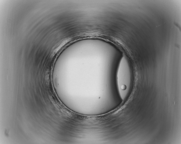 X0000103301162200808291124