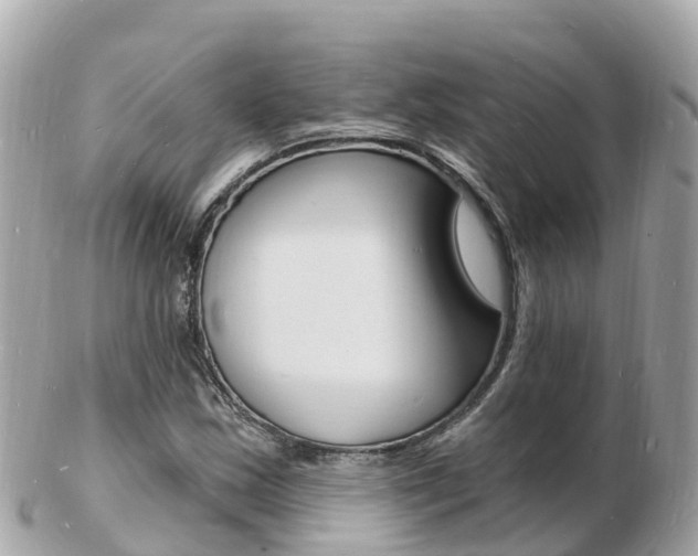 X0000103301163200808291124