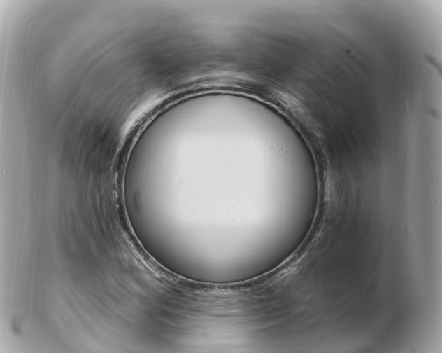X0000103301164200808291124