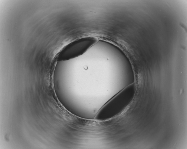 X0000103301165200808291124