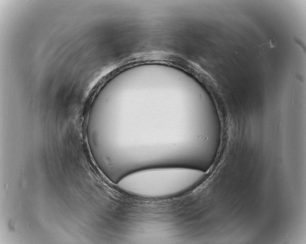 X0000103301166200808291124