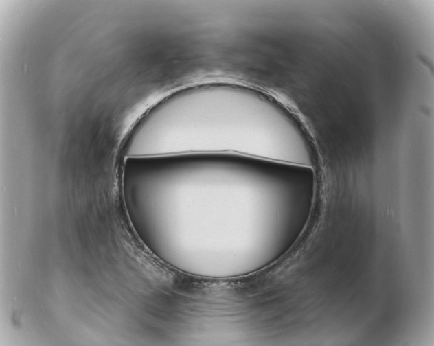 X0000103301167200808291124