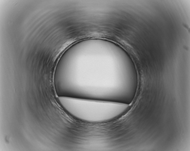 X0000103301170200808291124