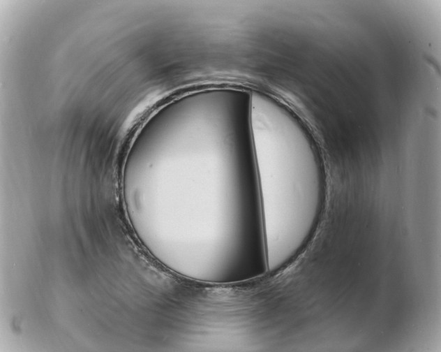 X0000103301172200808291124