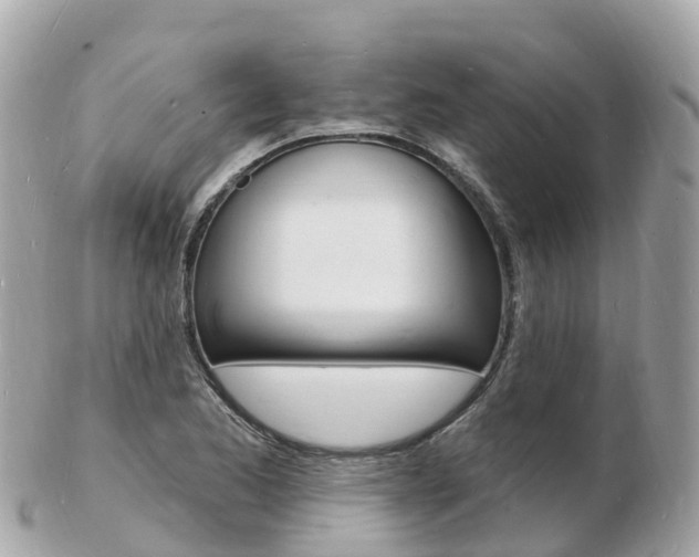 X0000103301173200808291124
