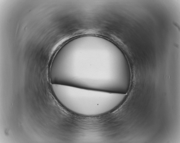 X0000103301174200808291124