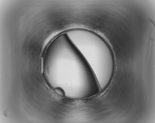 X0000103301175200808291124