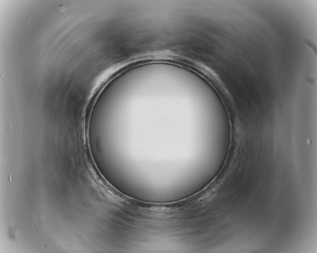 X0000103301176200808291124