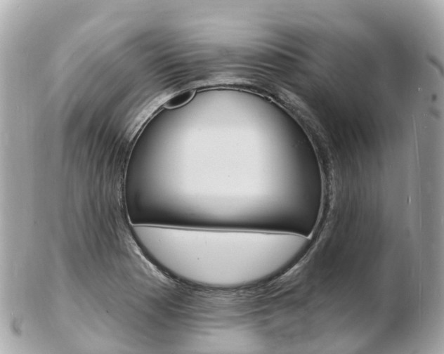 X0000103301177200808291124