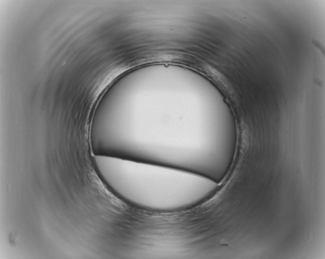 X0000103301178200808291124