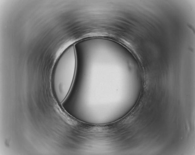 X0000103301179200808291123