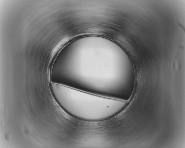X0000103301180200808291123