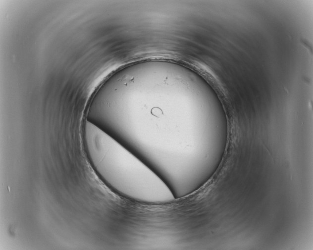 X0000103301182200808291123
